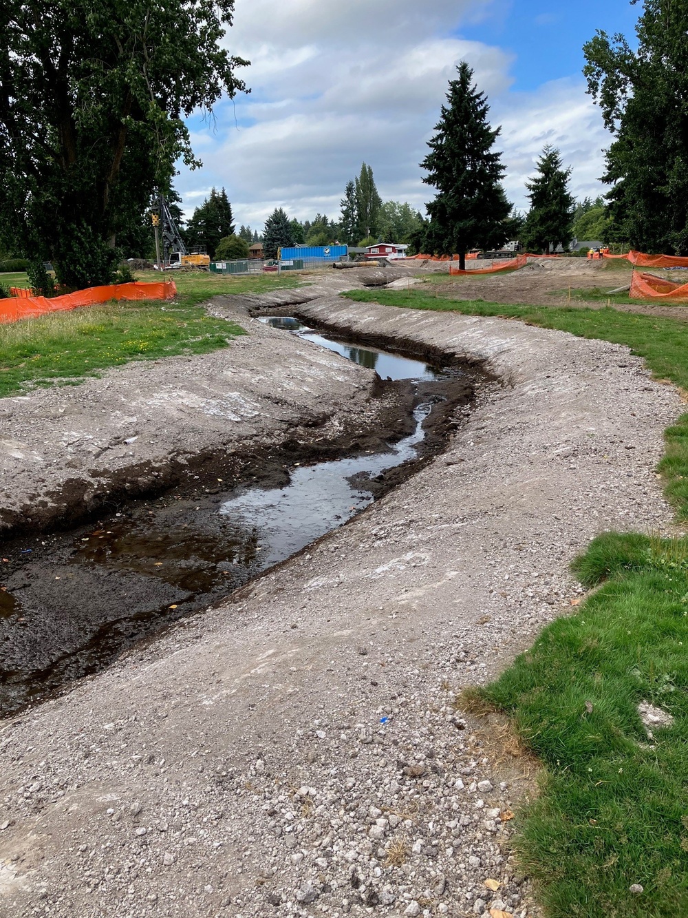 Mountlake Terrace Aquatic Ecosystem Restoration Project