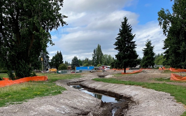 Mountlake Terrace Aquatic Ecosystem Restoration Project