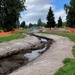 Mountlake Terrace Aquatic Ecosystem Restoration Project