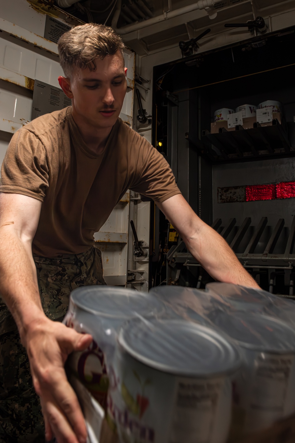 USS Theodore Roosevelt (CVN 71)