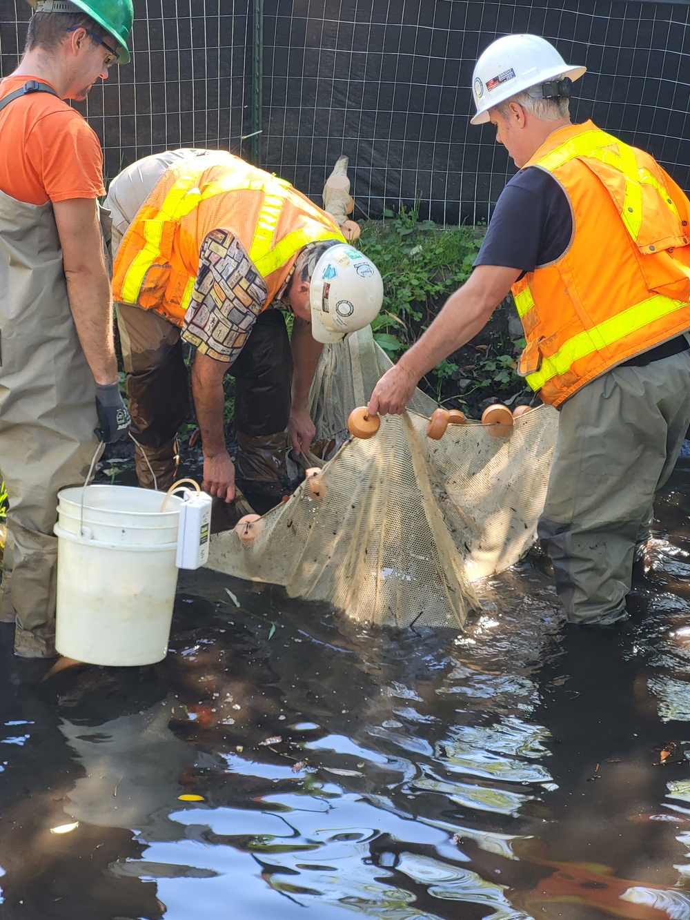 Mountlake Terrace Aquatic Ecosystem Restoration Project