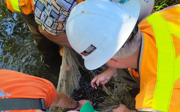 Mountlake Terrace Aquatic Ecosystem Restoration Project
