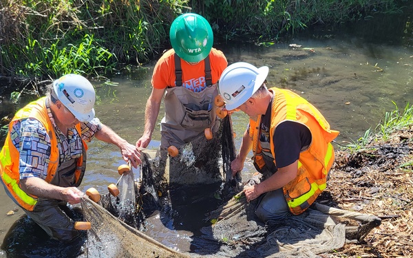 Mountlake Terrace Aquatic Ecosystem Restoration Project