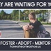 Nevada National Guard families, individuals sought to ease statewide foster care shortage