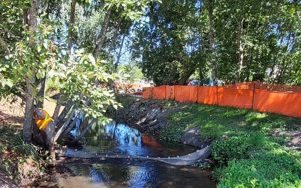 Mountlake Terrace Aquatic Ecosystem Restoration Project