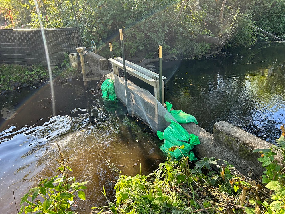 Mountlake Terrace Aquatic Ecosystem Restoration Project