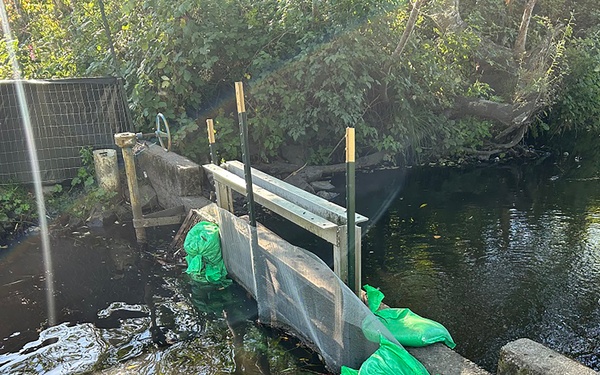Mountlake Terrace Aquatic Ecosystem Restoration Project