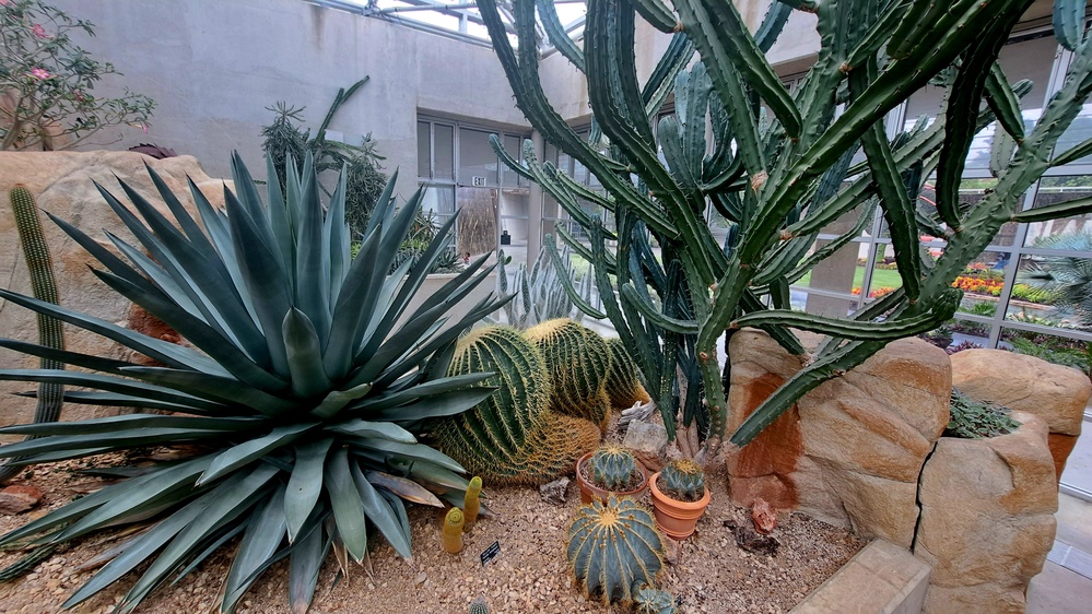 San Antonio Botanical Garden: Garden exhibits bring imaginary worlds to life