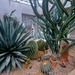 San Antonio Botanical Garden: Garden exhibits bring imaginary worlds to life