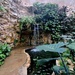 San Antonio Botanical Garden: Garden exhibits bring imaginary worlds to life