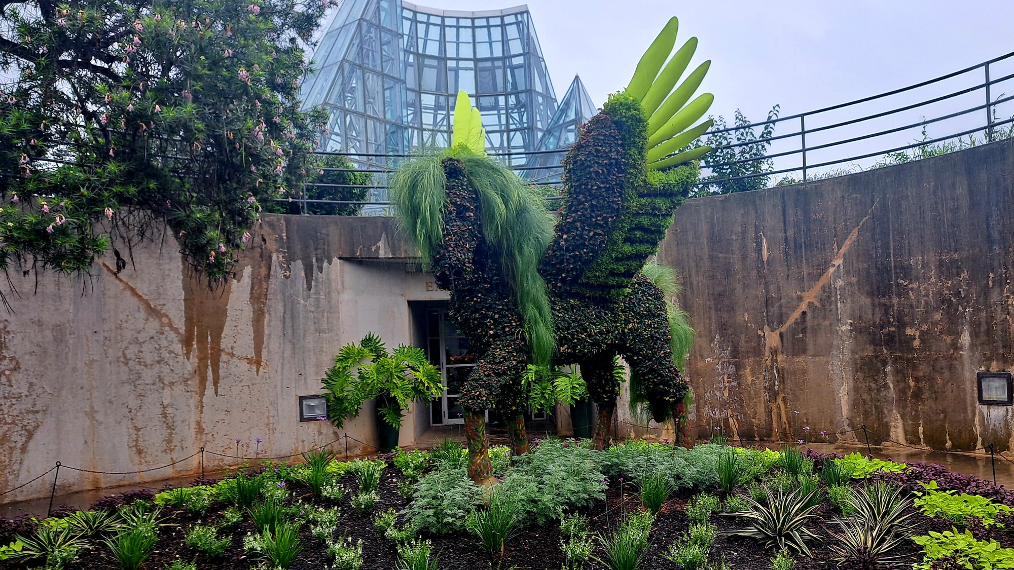 DVIDS - Images - San Antonio Botanical Garden: Garden exhibits