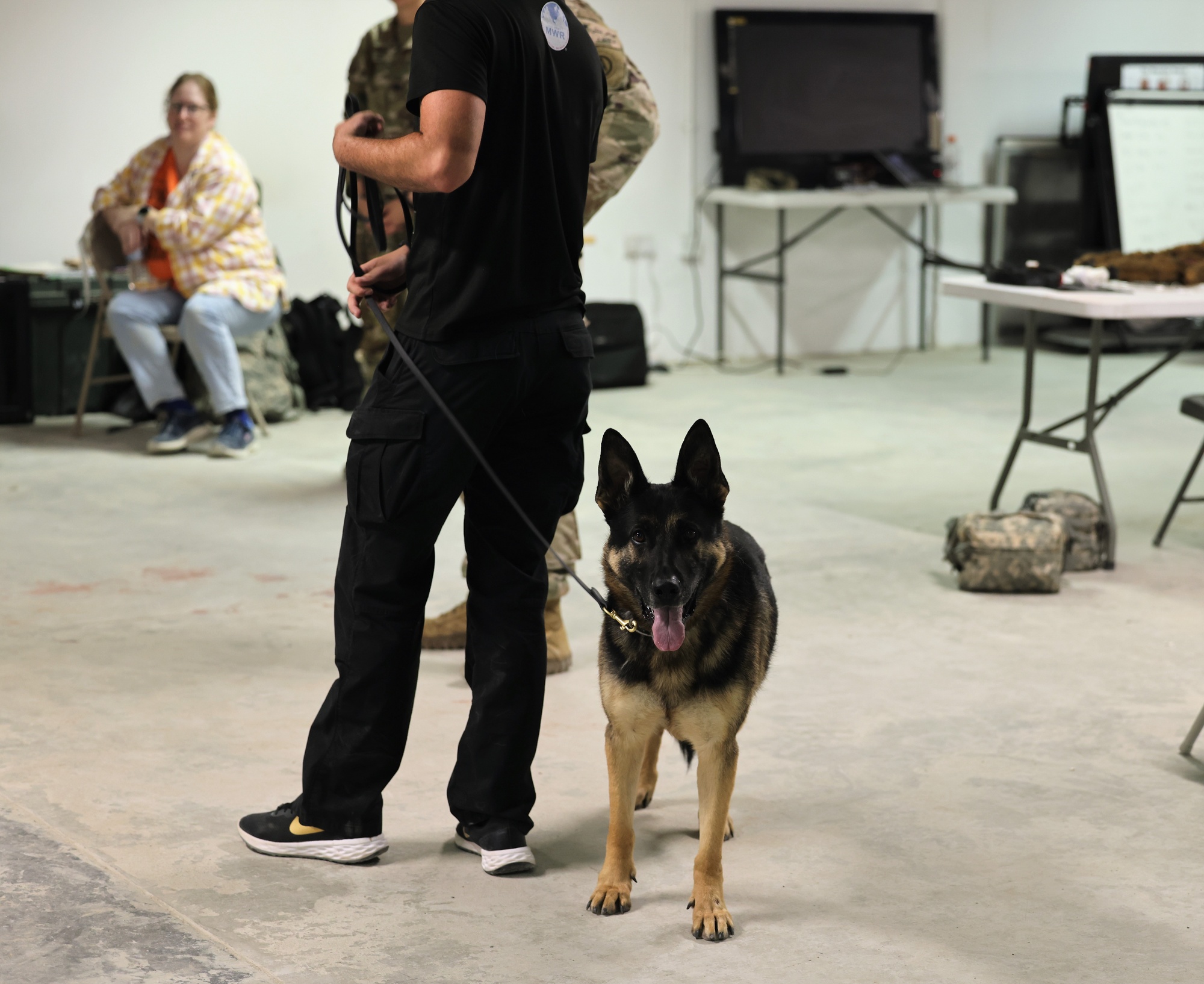 K9 drug hot sale interdiction training