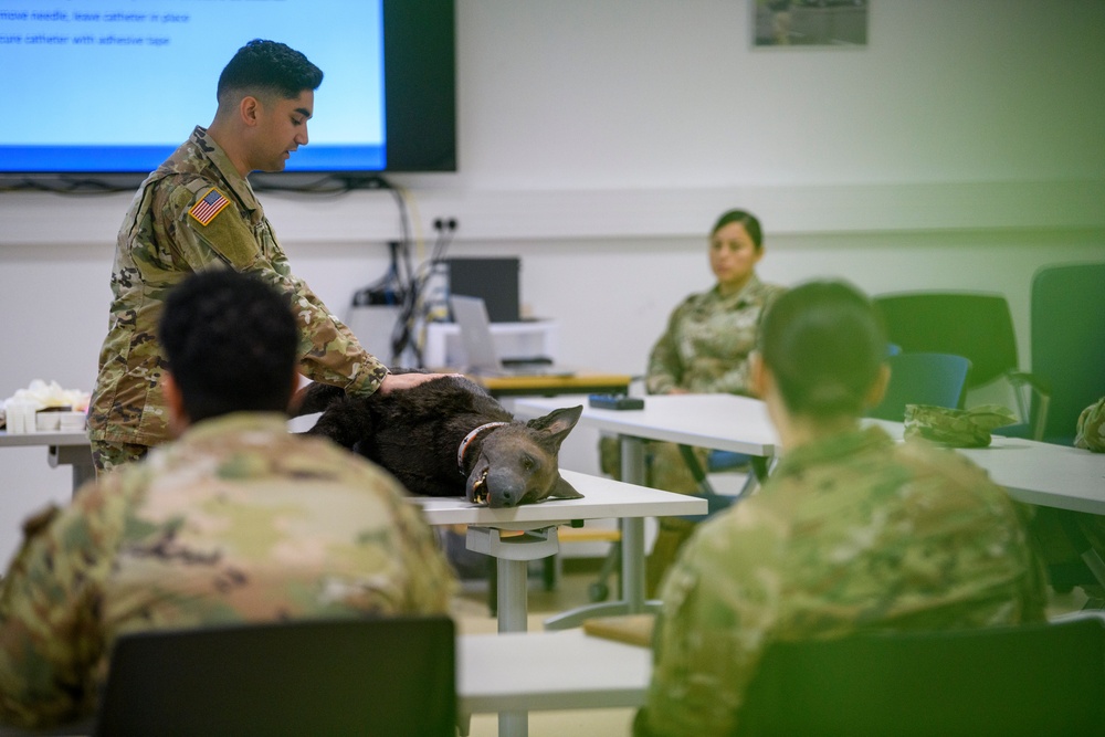MWD TCCC training by PHA Rheinland-Pfalz in Belgium