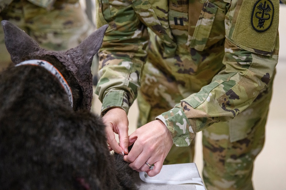 MWD TCCC training by PHA Rheinland-Pfalz in Belgium