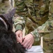 MWD TCCC training by PHA Rheinland-Pfalz in Belgium