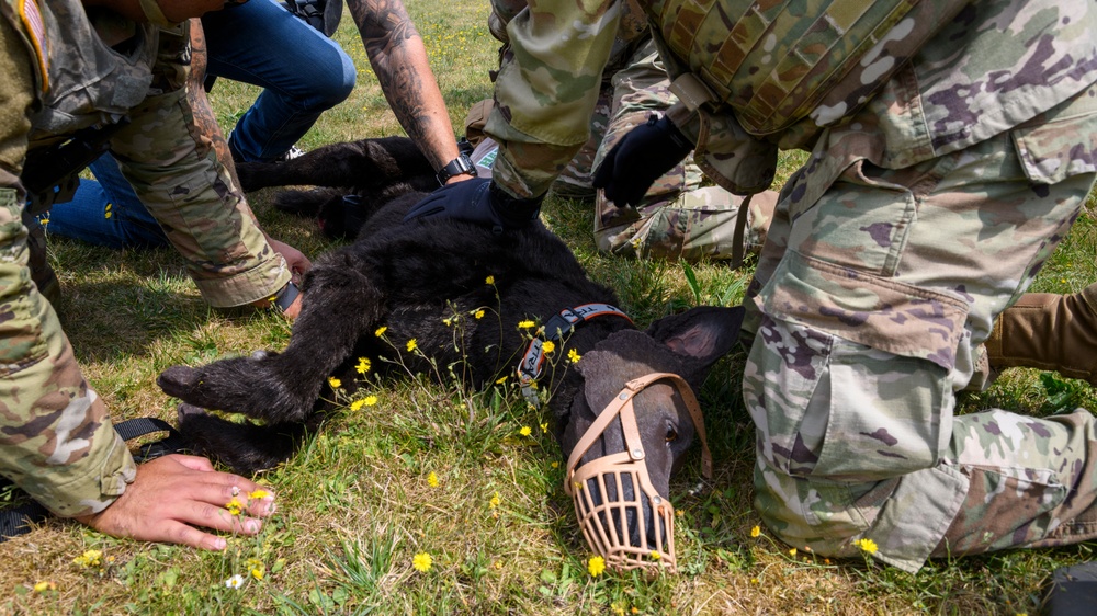 MWD TCCC training by PHA Rheinland-Pfalz in Belgium