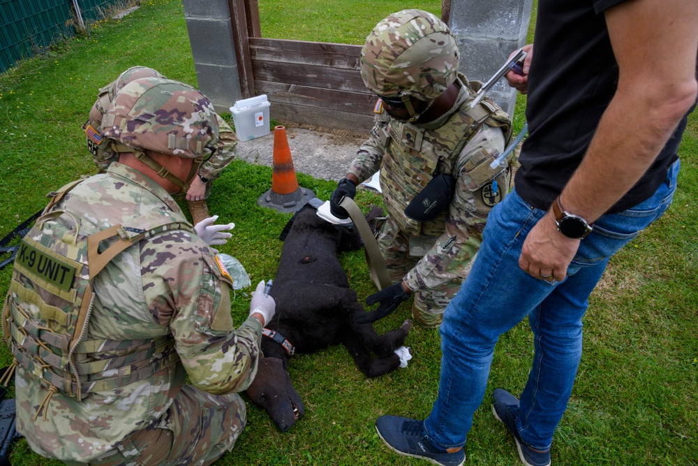 MWD TCCC training by PHA Rheinland-Pfalz in Belgium