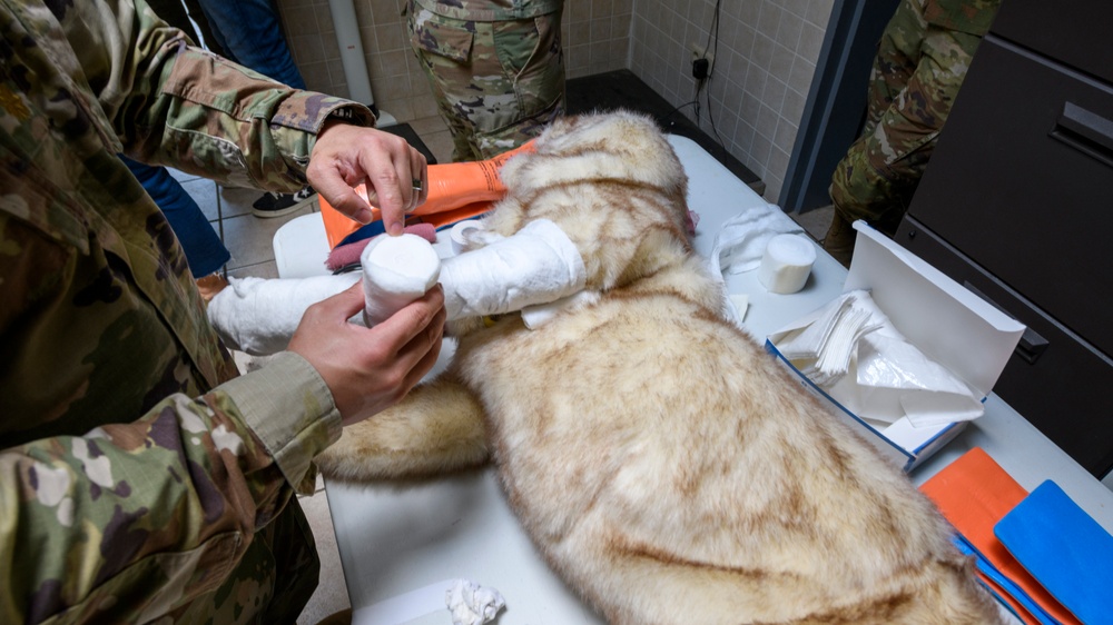 MWD TCCC training by PHA Rheinland-Pfalz in Belgium