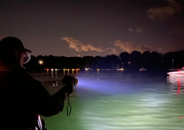 New York Naval Militia assists with Coast Guard border mission