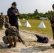 Combat Logistics Battalion-24 Conducts Evacuation Control Center Training