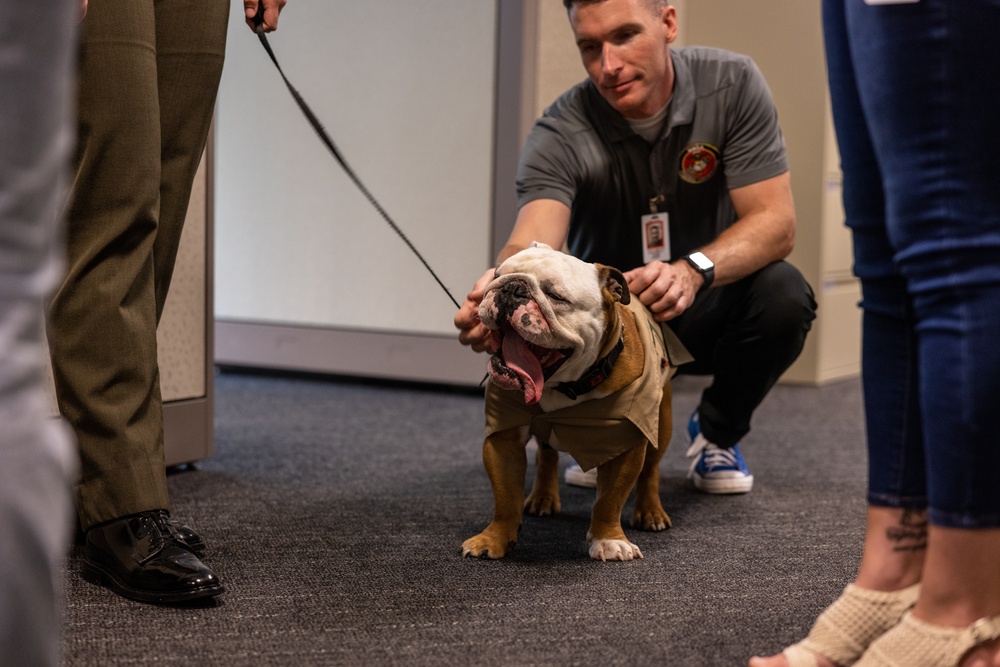 Manpower Management Enlisted Assignments hosts a family day