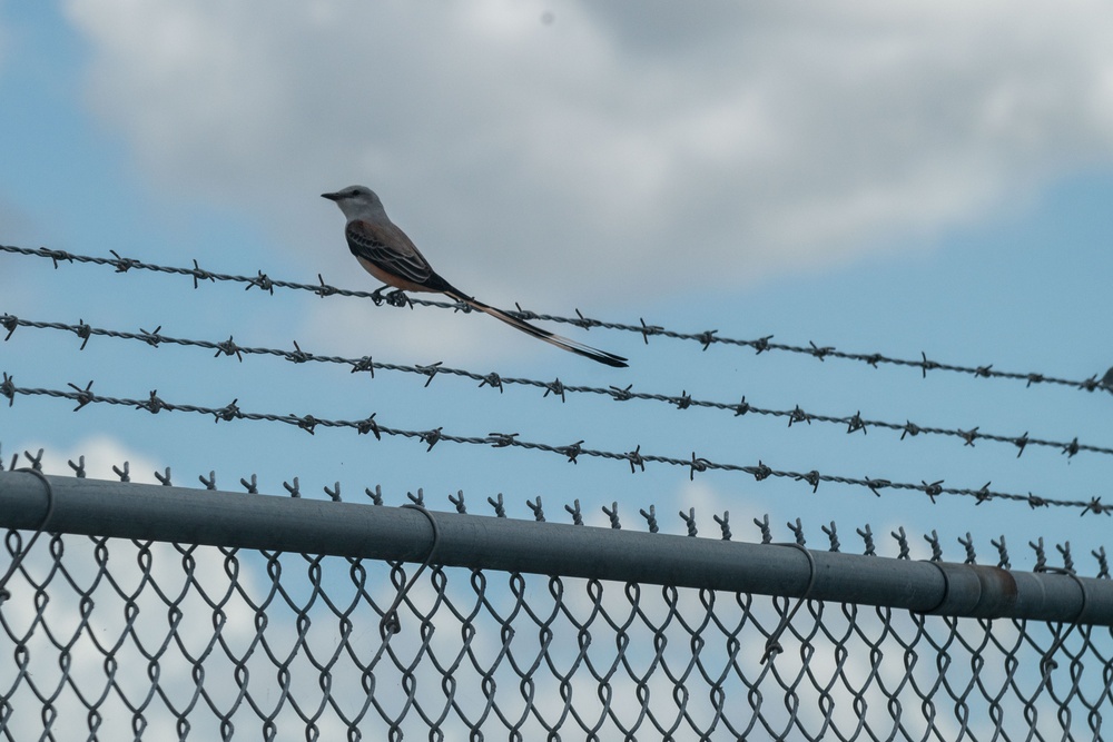 Tips to Strengthen Fences from D&C Fence Corpus Christi