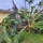 Nearly three months after Typhoon Mawar, clean-up and recovery efforts continue in the communities outside of Andersen Air Force Base AFB, Guam