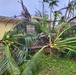 Nearly three months after Typhoon Mawar, clean-up and recovery efforts continue in the communities outside of Andersen Air Force Base AFB, Guam