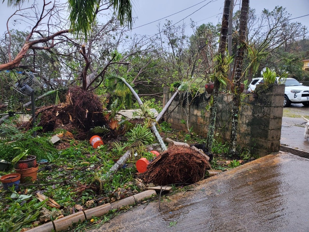 Members of the Air Force Civil Engineer Center’s Natural Disaster Recovery Division, who have family in Guam, received photos of the home and tree damage after Typhoon Mawar