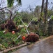 Members of the Air Force Civil Engineer Center’s Natural Disaster Recovery Division, who have family in Guam, received photos of the home and tree damage after Typhoon Mawar