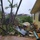 Members of the Air Force Civil Engineer Center’s Natural Disaster Recovery Division, who have family in Guam, received photos of the home and tree damage after Typhoon Mawar