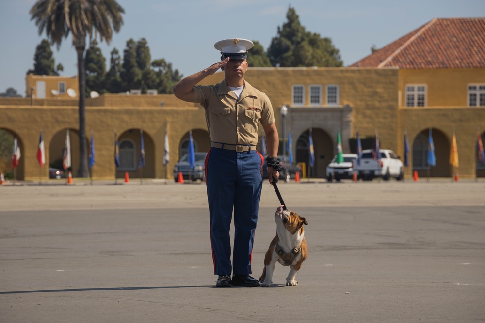 Alpha Company Graduation