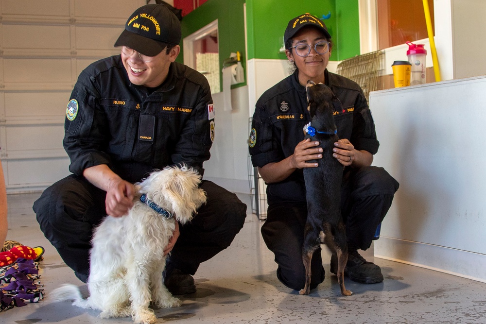 Sailors volunteer at Emerald City Pet Rescue during Seattle Fleet Week