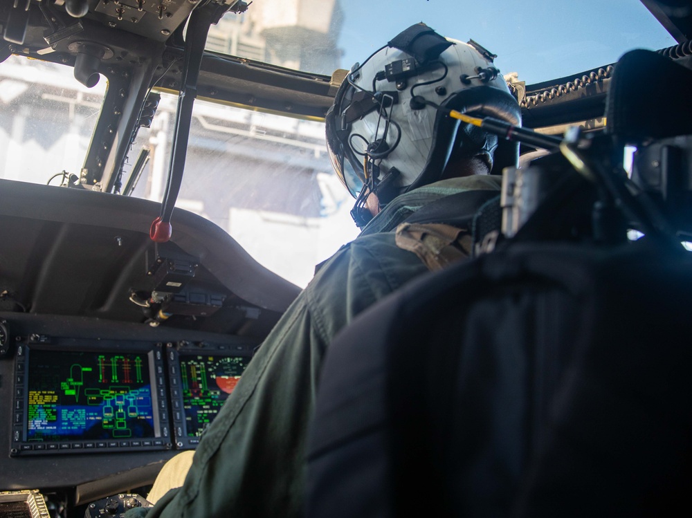 Lt. Pearson Conducts Pre-Flight Checks in MH-60R Sea Hawk