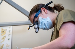 Dental palooza [Image 2 of 3]