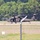 Wisconsin National Guard's 1st Battalion, 147th Aviation Regiment supports airshow 'dress rehearsal' event at Fort McCoy