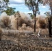 Australian Sappers practice demolitions
