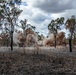 Australian Sappers practice demolitions