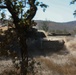 Comanche Company conducts combined arms live fire exercise with Australian Army's 3rd Brigade