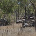 Comanche Company conducts combined arms live fire exercise with Australian Army’s 3rd Brigade