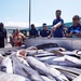 Coast Guard hosts Shiprider Symposium in Honolulu