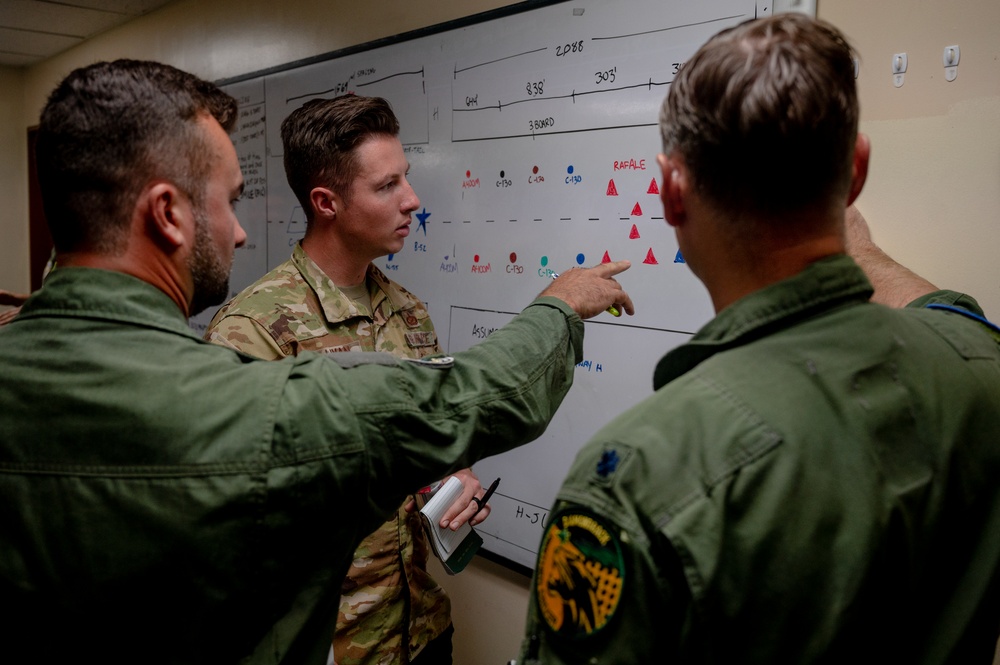 Partner nations plan a large elephant walk