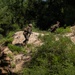 KMEP 23.3: U.S. Marines conduct platoon attacks training