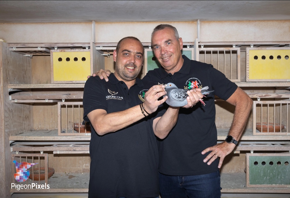 USAG Benelux Spotlight: Jan Grolleman and racing pigeon, Liv