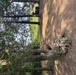 109th Mobile Public Affairs Detachment conducts land navigation training