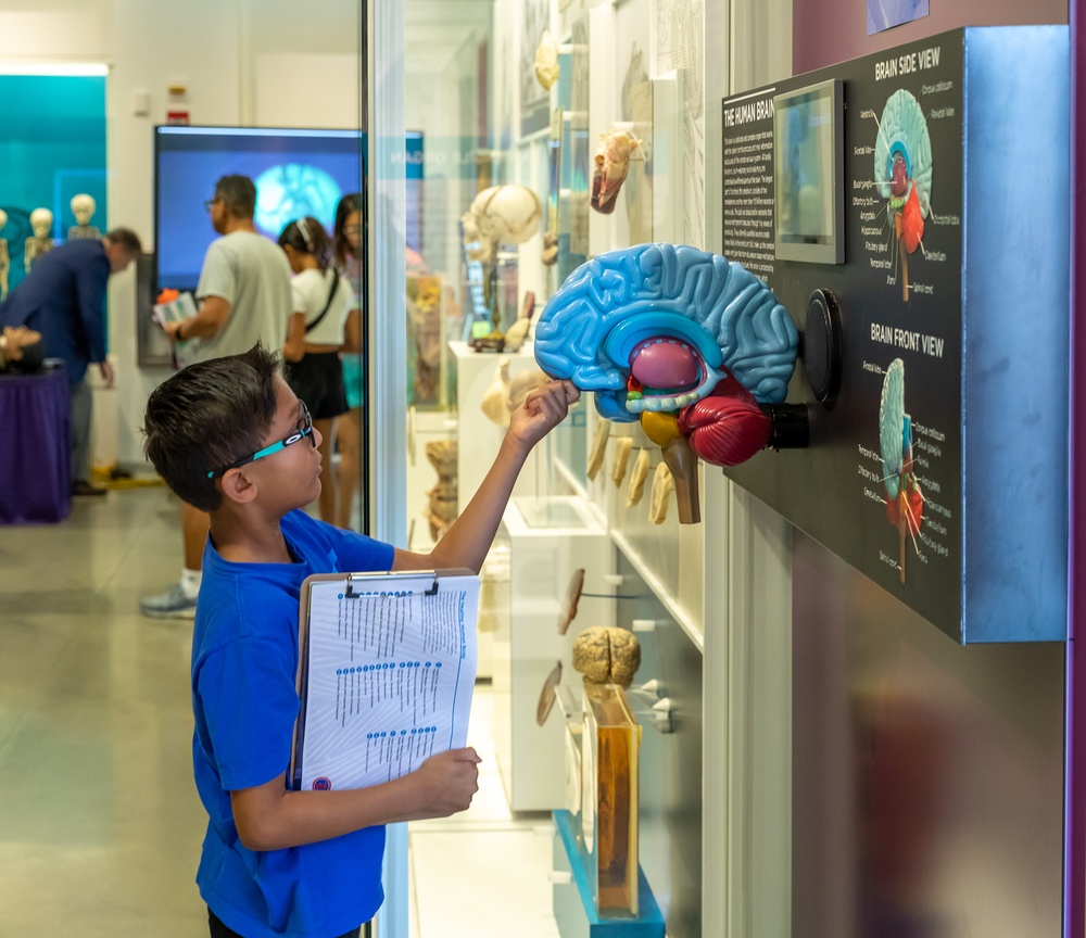 Visitors Tour the Museum