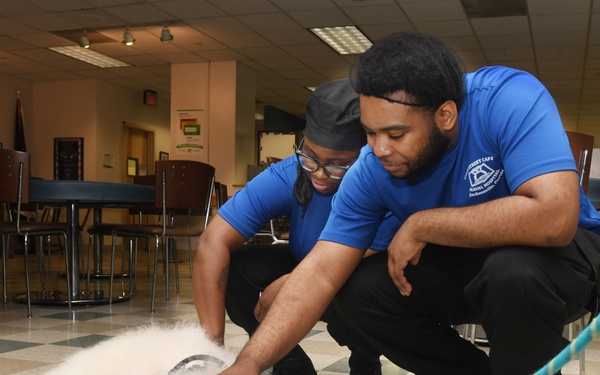 Caregiver Operational Stress Control Therapy Dog