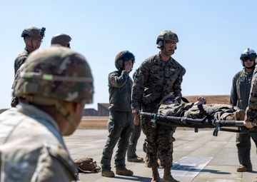 MRF-D, US Army train for CASEVAC scenarios
