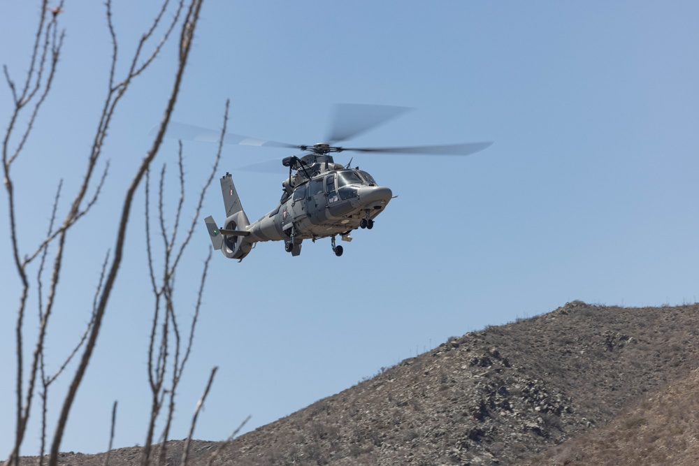 U.S. Marines, helo insert during exercise Phoenix/Aztec Alligator 2023