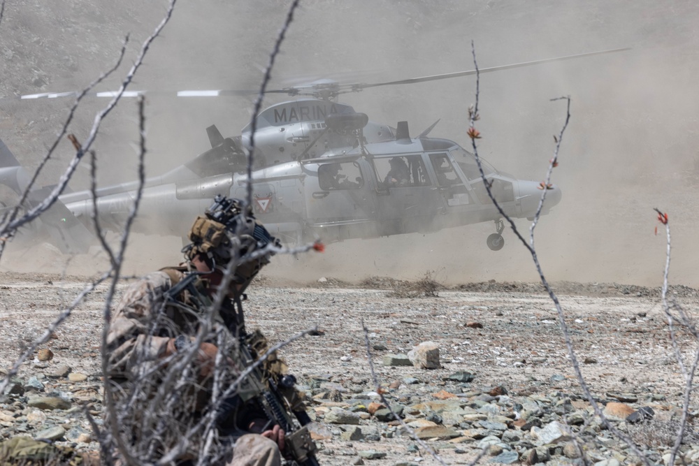 U.S. Marines, helo insert during exercise Phoenix/Aztec Alligator 2023